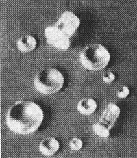 Detail Associates Clear Classification Lights Pkg(12) -- 4-1/2" (.052") Diameter